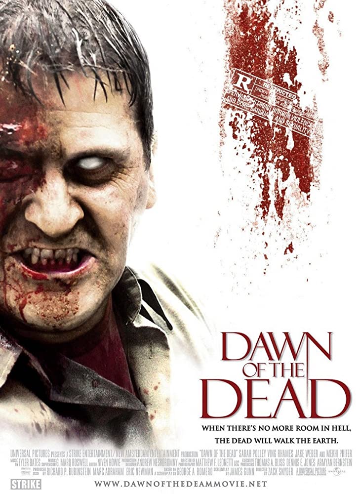 Dawn of the Dead 2004 Hindi Dual Audio 480p BluRay ESub 408MB Download