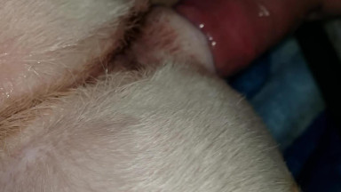Lab Bitch Creampie