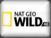 nat geo wild online en directo gratis