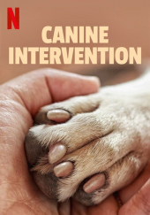 Terapia Canina - Temp. 1 