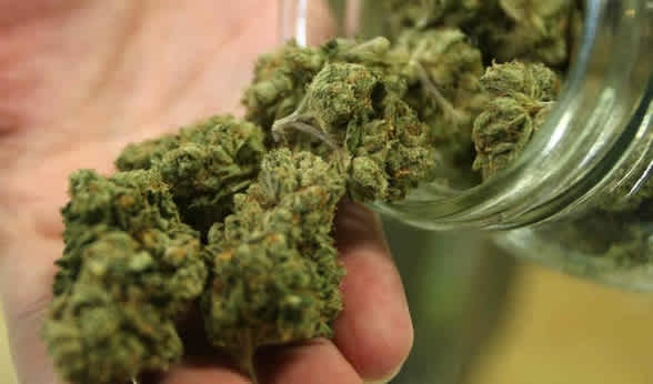 Prime Places to Buy Weed in Premium Costs