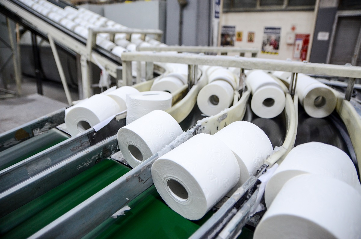 toilet paper manufacturing business plan in south africa
