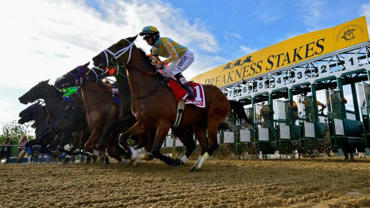 Fun Facts About The Preakness Stakes