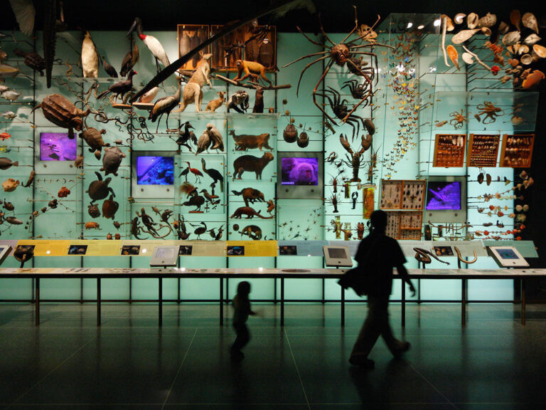 Exploring Biodiversity Measurement Methods: Tools for Assessing Ecological Health