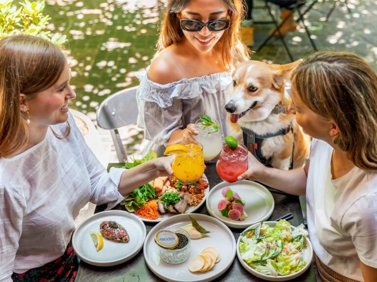 Embracing the Trend: Sydney’s Best Bottomless Brunch Experiences
