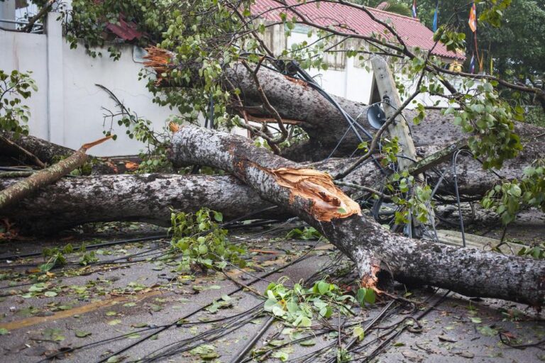 How to Make Your Home and Car More Resilient to Unexpected Damage